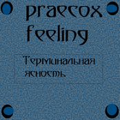 Терминальная ясность