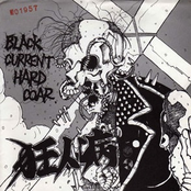 Black Current Hard Coar flexi