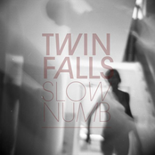 Janie I Will Only Let You Down by Twin Falls