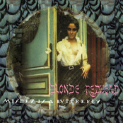 Blonde Redhead: Misery Is a Butterfly