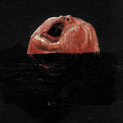 Tutta La Morte In Un Solo Punto