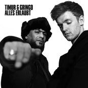 Timur – Alles erlaubt