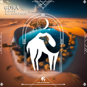 Gora