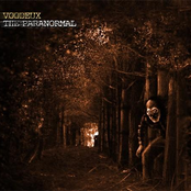 Enter The Voo by Voodeux