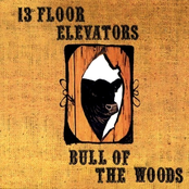 the psychedelic world of the 13th floor elevators