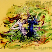 spirits of the plants