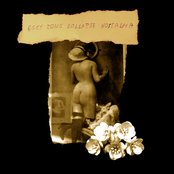 Grey Zone Collapse Nostalgia