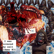 I Was Covered By Salt [Demo #3]