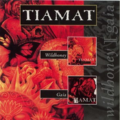 The Ar (ind. Mix) by Tiamat