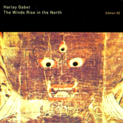 The Winds Rise In The North