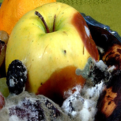 Decay Of Fruit
