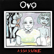 Assassine