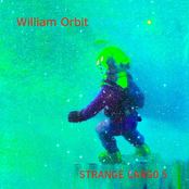 The Diver by William Orbit