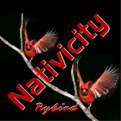 Nativicity