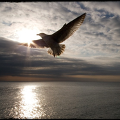 Аудиозаписи 2005-2009 гг