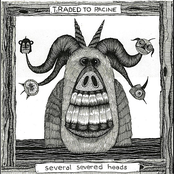 Several Severed Heads