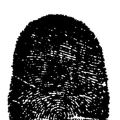 Los Hombres De Mi Vida