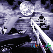 Eminem: The Slim Shady LP