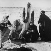 Music Of The South Sinai Bedouins