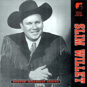 Boppin' Hillbilly Series