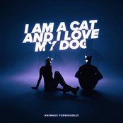 I Am a Cat and I Love My Dog