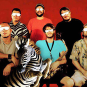 Zebrabeat Afro-amazonia Orquestra