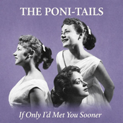 If Only I'd Met You Sooner