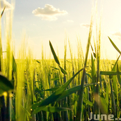June