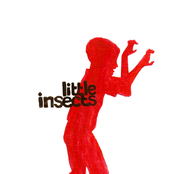 Little Insects