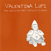 Qualcosa Di Agrodolce by Valentina Lupi
