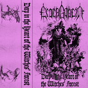 Deep in the Heart of the Witches' Forest