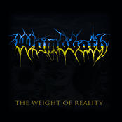 The Weight Of Reality