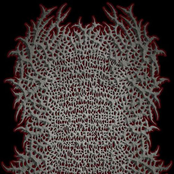 Ingurgitating Succulent Chunks Of Regurgitated Feces In Deviated From Ass To Mouth Game As Degraded And Drowning In Slimy Buckets Of Bukkake Fluids