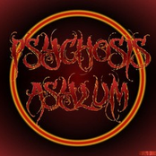 psychosis asylum