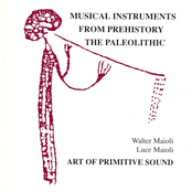 Musical Instruments From Prehistory:The Poleolite