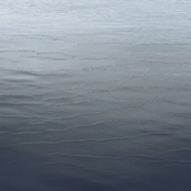 They, Whom the Gods Want to Destroy