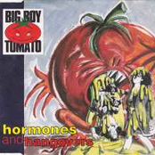 Hormones And Hangovers