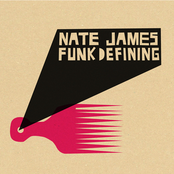 Stupid Things by Nate James