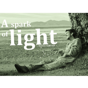 A Spark of Light
