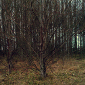 What Could Have Been