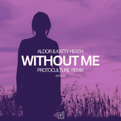 Without Me (Protoculture Remix)