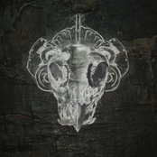 Thriftworks: Rainmaker