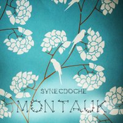 Synecdoche Montauk