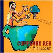 She Moves by Compound Red