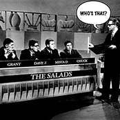 Take It To A Disco by The Salads