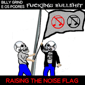 Raising the Noise Flag