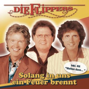 Seit Du Nicht Mehr Da Bist by Die Flippers