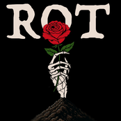 Rot