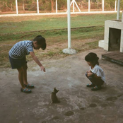 Until the beauty lasts forever