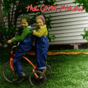 The Cat's Meow: A Kiss and a Cuddle